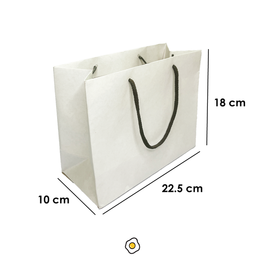 Bolsas de Papel 22.5x18x10 cm