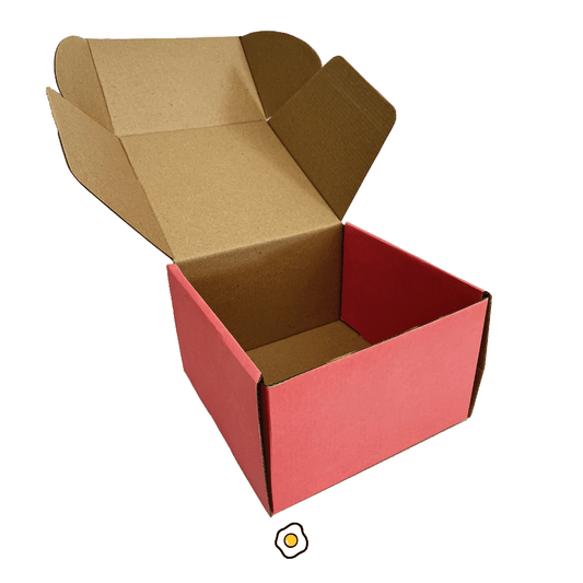 Cajas para envío 20x19x13 cm