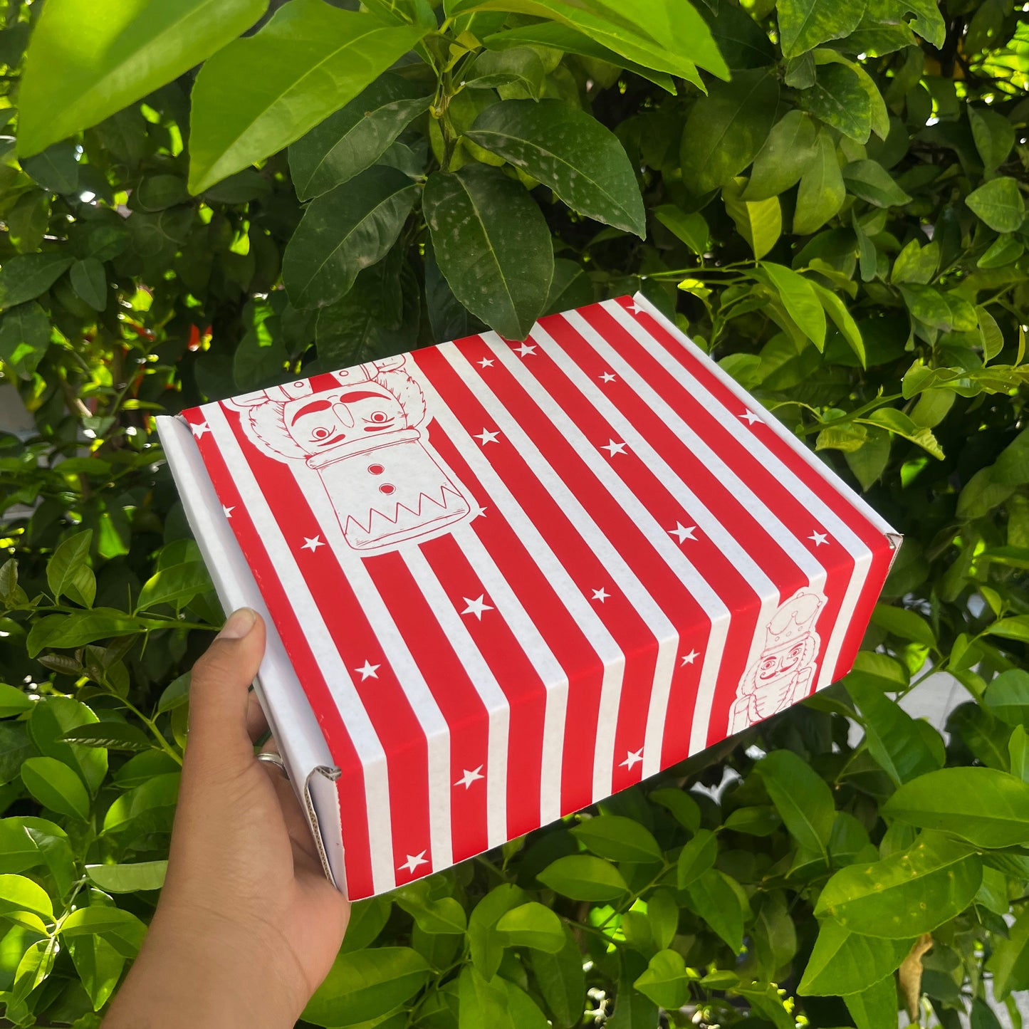 Caja Navideña