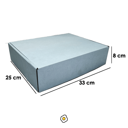 Caja Para Envío 25x33x8 cm