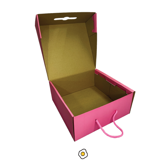 Caja Para Calzado 31x31x13 cm